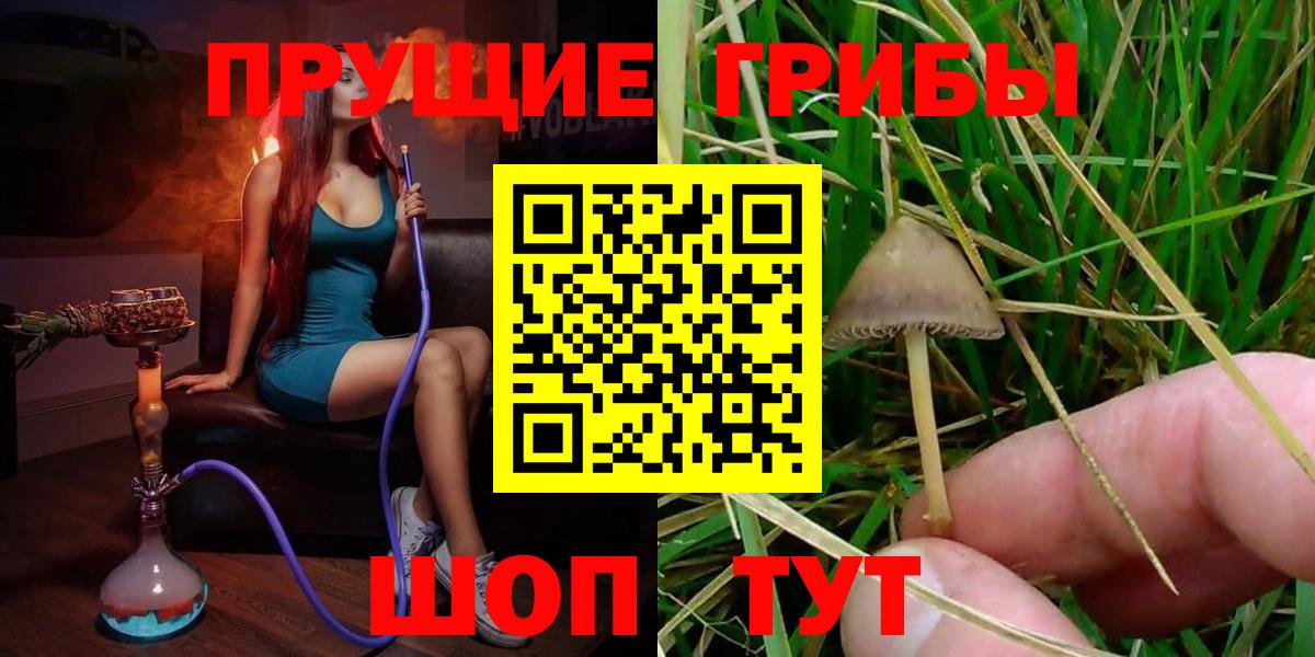 Псилоцибиновые грибы Cubensis  Вход с VPN  Галлюциногенные грибы MAGIC MUSHROOMS  Кизилюрт 